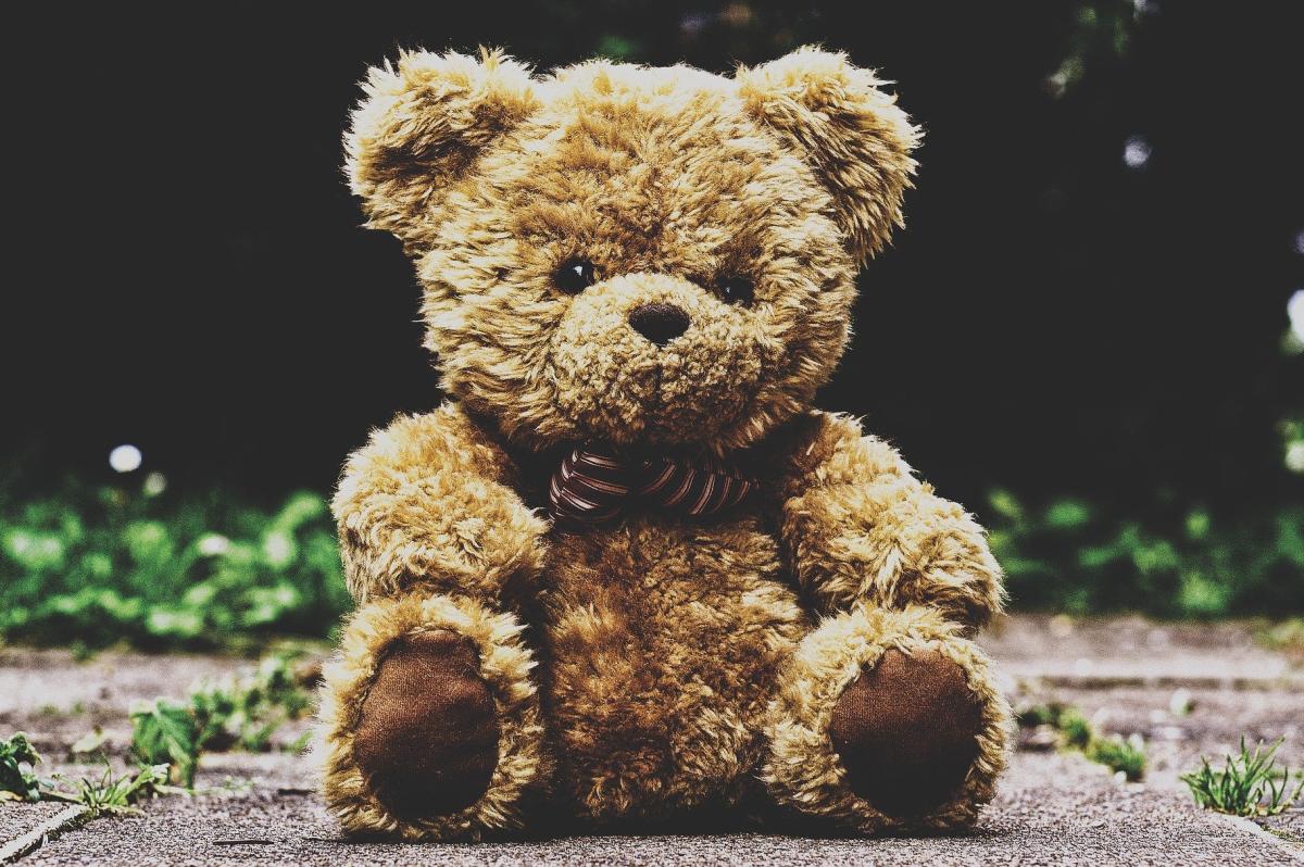 Teddy Bear TED Teddy Bear TED